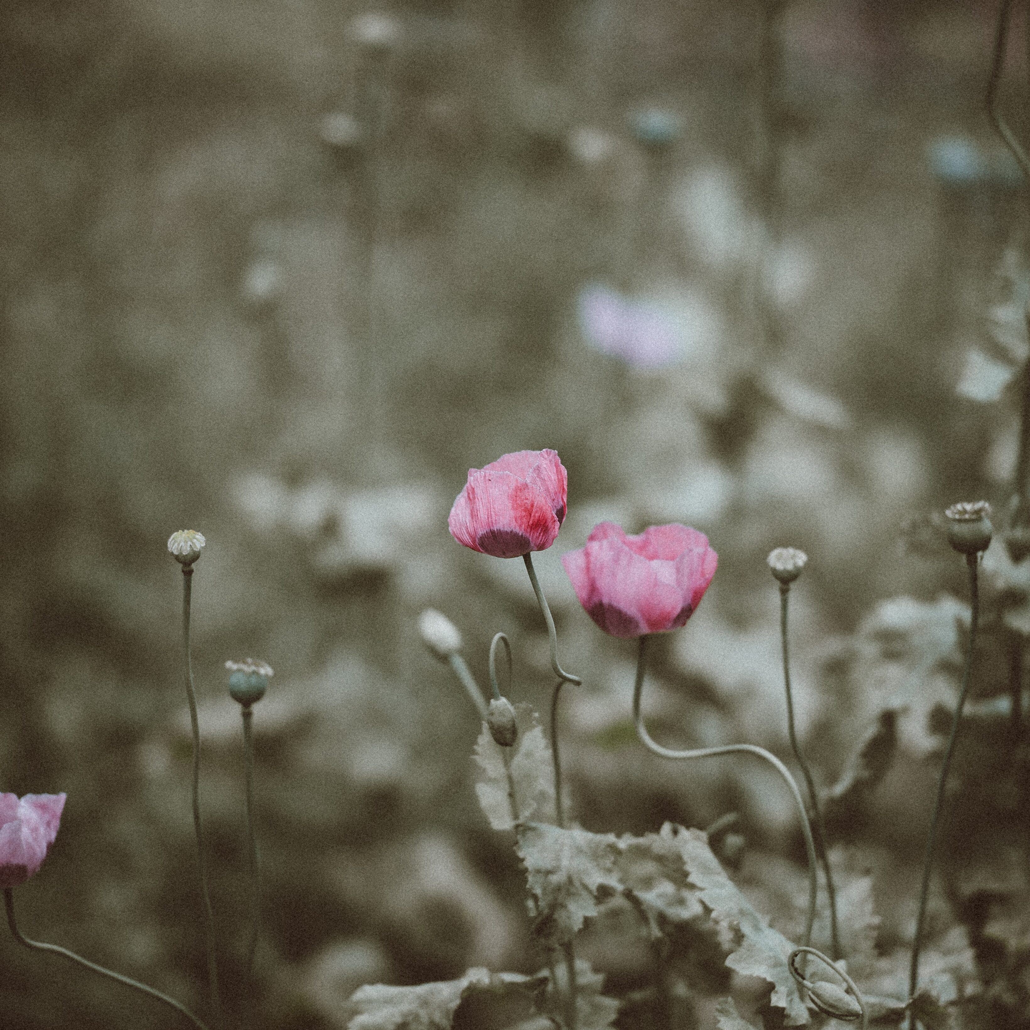 annie-spratt-365531-unsplash